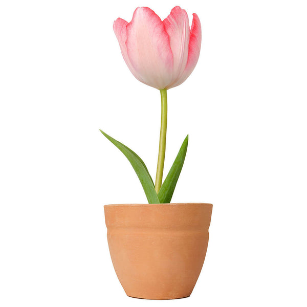 Samsung SyncMaster 941BW